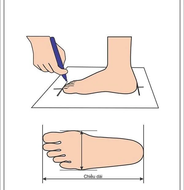 Cách đo size giày - Bước 1